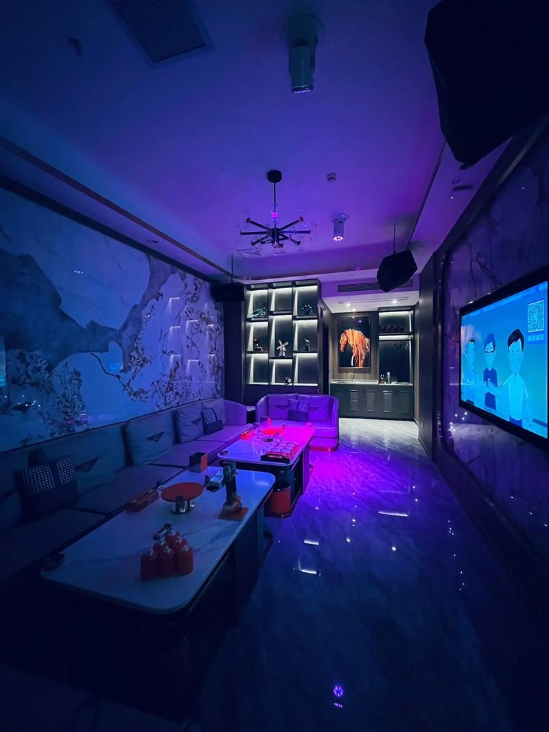 永州商务KTV组局说明-零陵区ktv预定